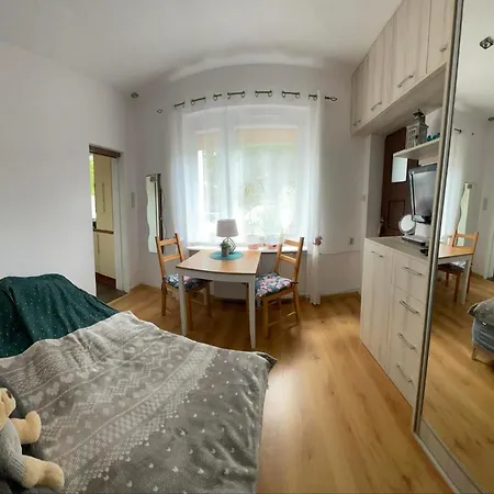Chopina Apartment *